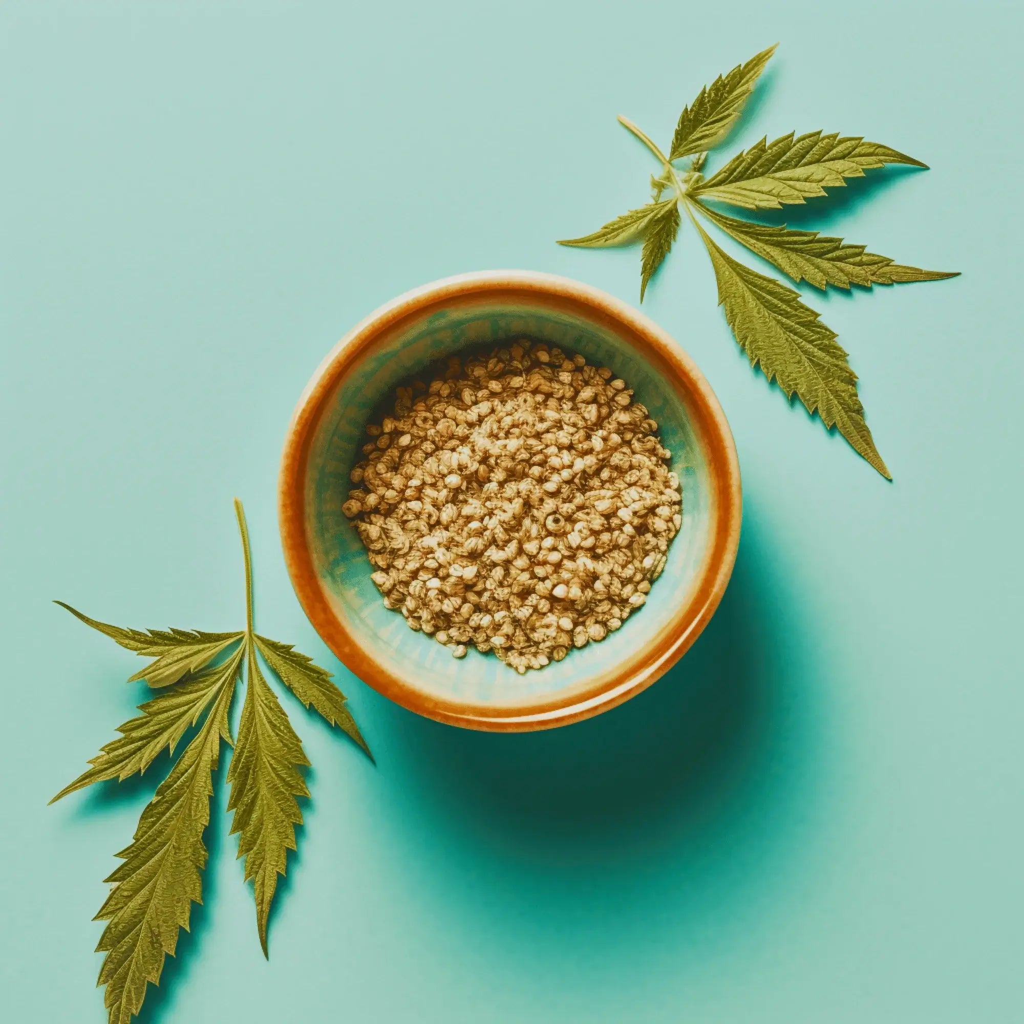 The Calorie Content of Hemp Seeds: Nutritional Facts You Need to Know - The Cannabis Company