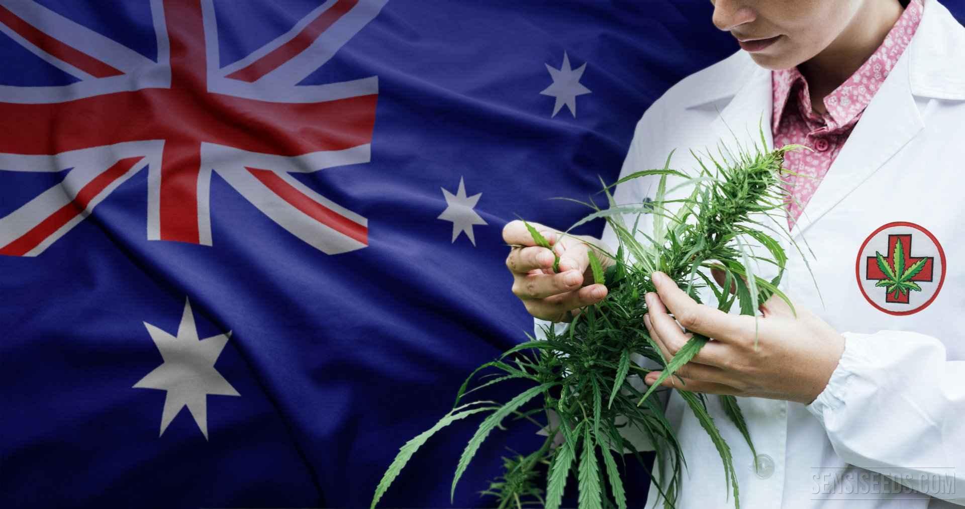 Australia cannabis