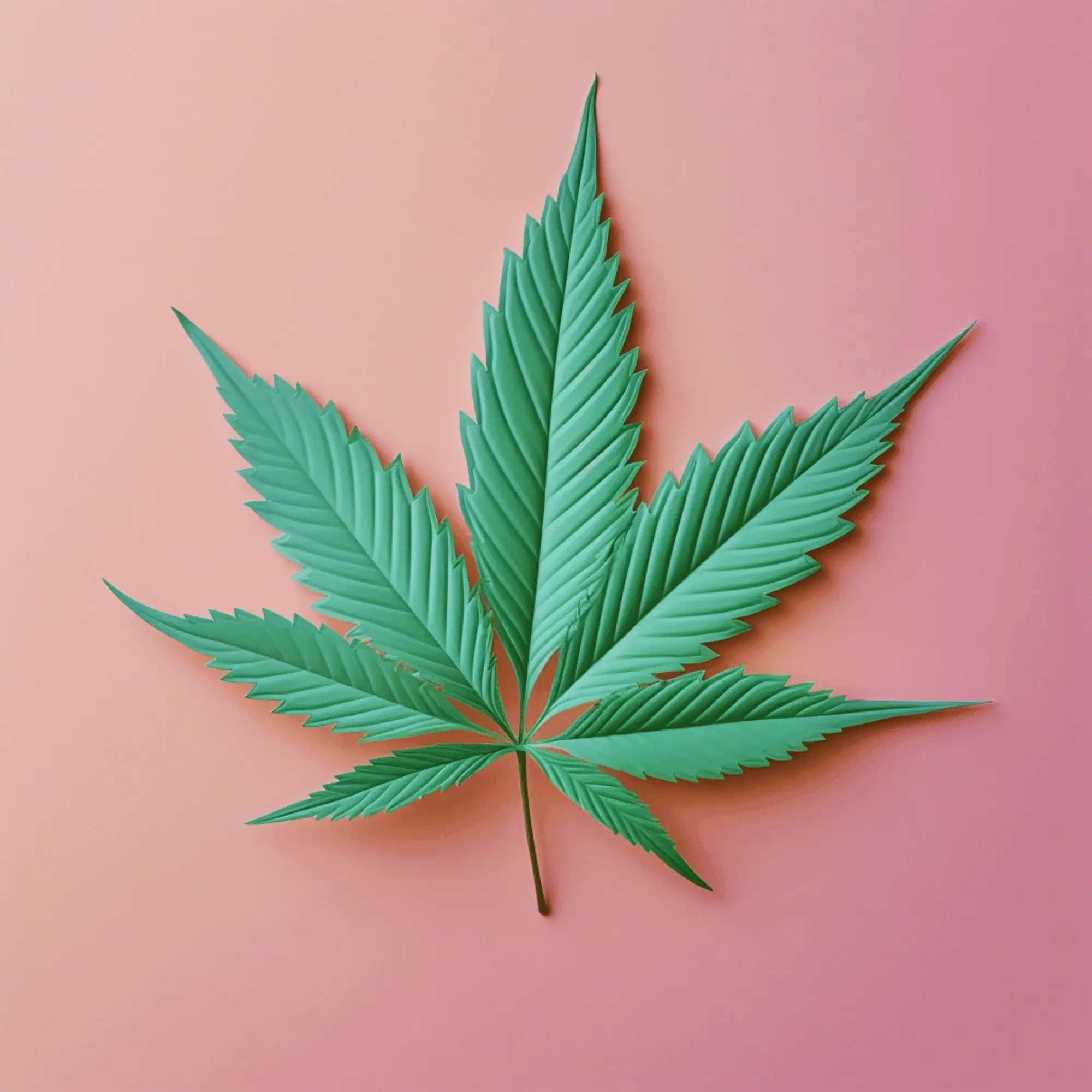 Weed Leaf Featured Image