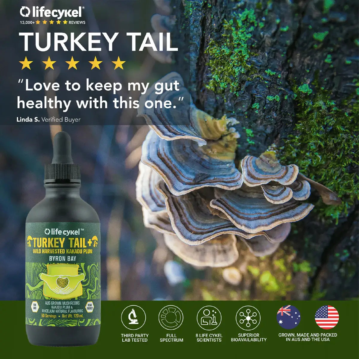 Life Cykel Turkey Tail Mushroom &amp; Kakadu Plum Trinity Extract - The Cannabis Company