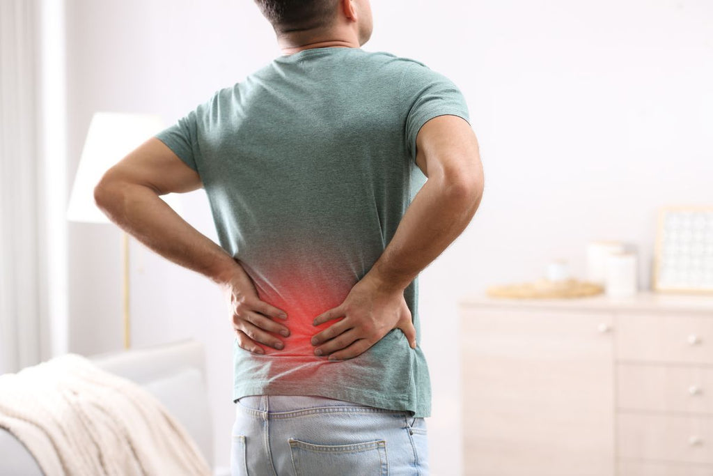 Back chronic pain