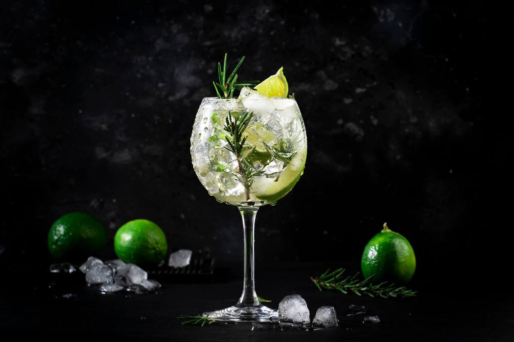 Gin and Tonic Recipes