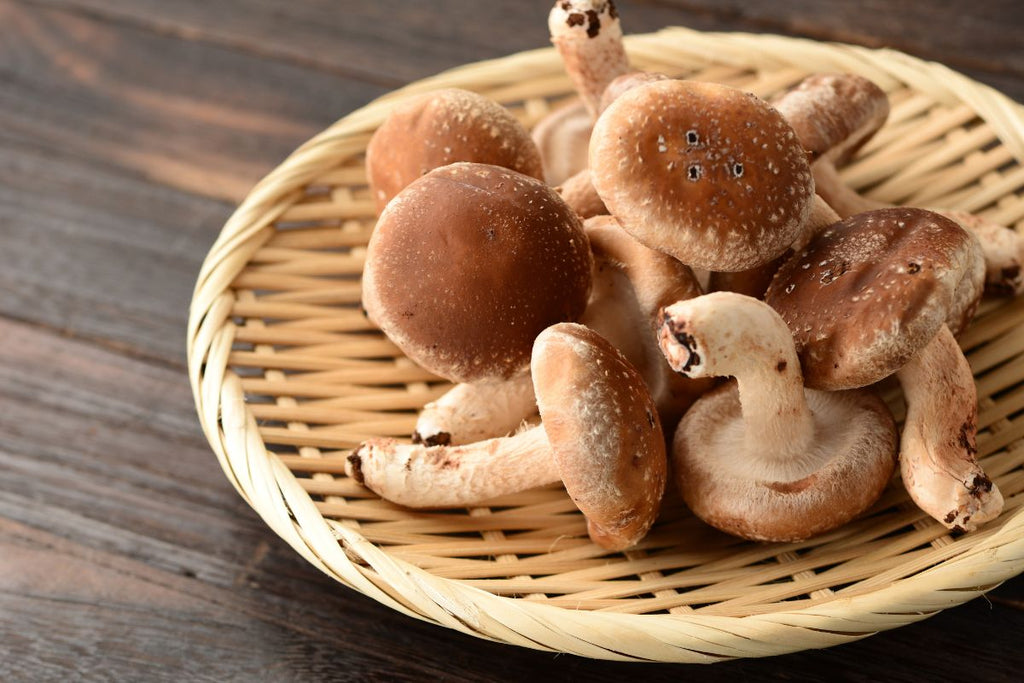 Shiitake mushrooms