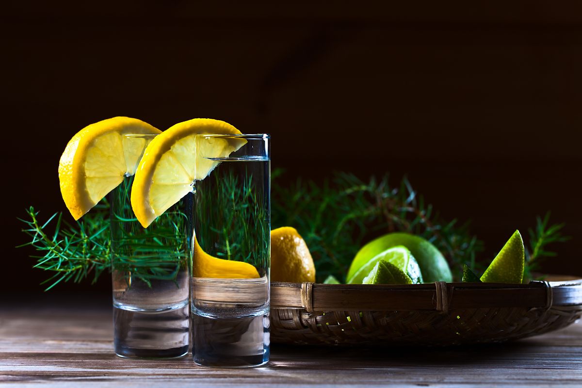 Top health gin drinks