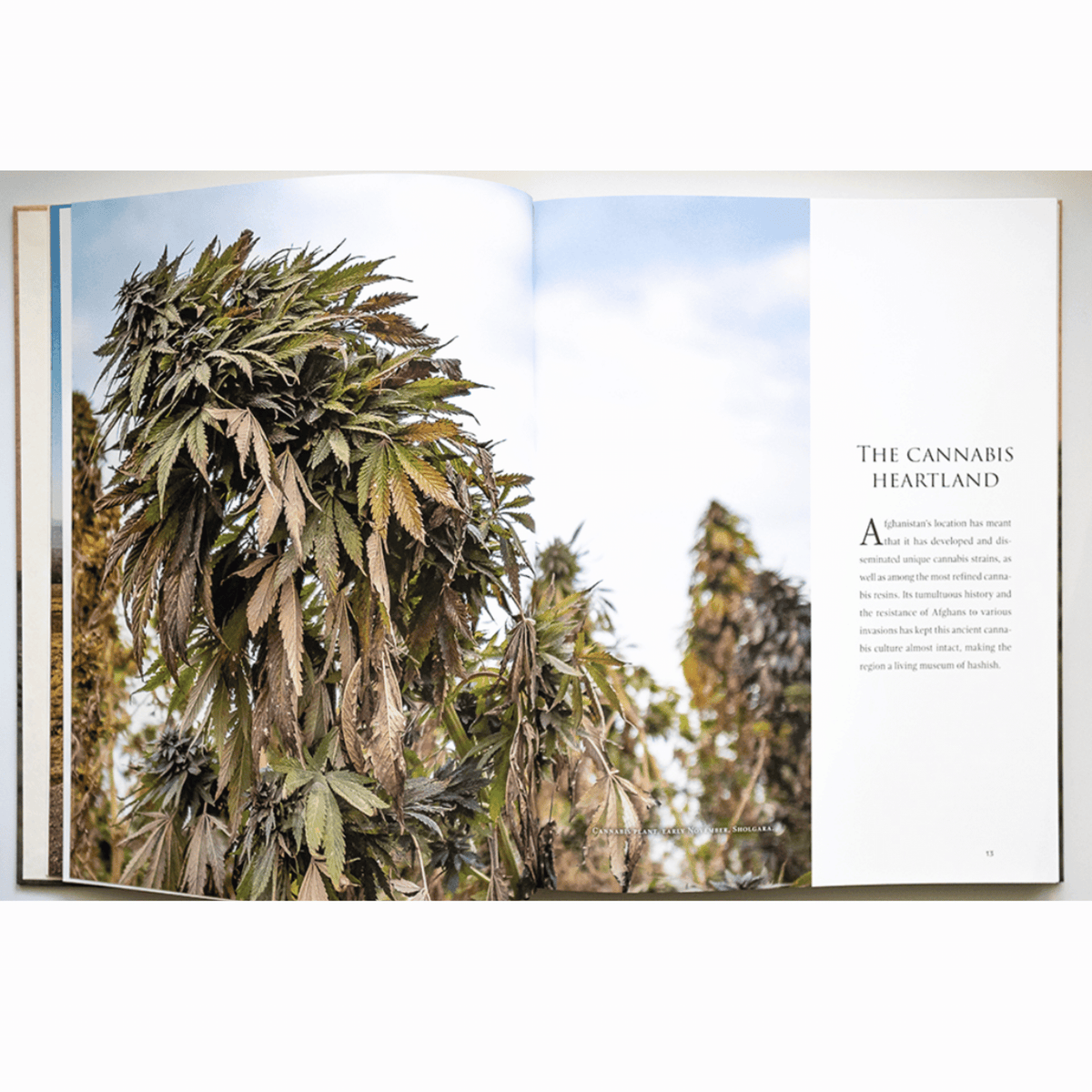 Photography Book &quot;Afghanistan, Fortress of Cannabis - The Cannabis Company