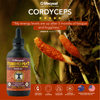 Organic Cordyceps & Kakadu Plum Liquid Extract - The Cannabis Company