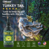 Life Cykel Turkey Tail Mushroom & Kakadu Plum Trinity Extract - The Cannabis Company